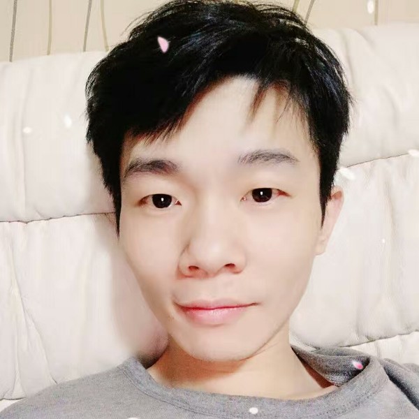 小鸽子拿追寻的照片