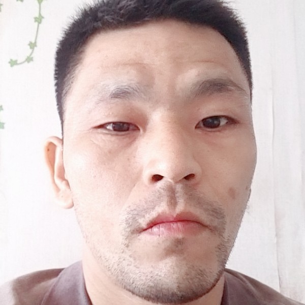 小兔子漫步彪壮的照片