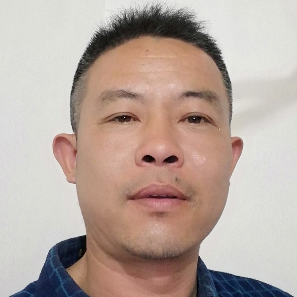 小松鼠迷人的照片