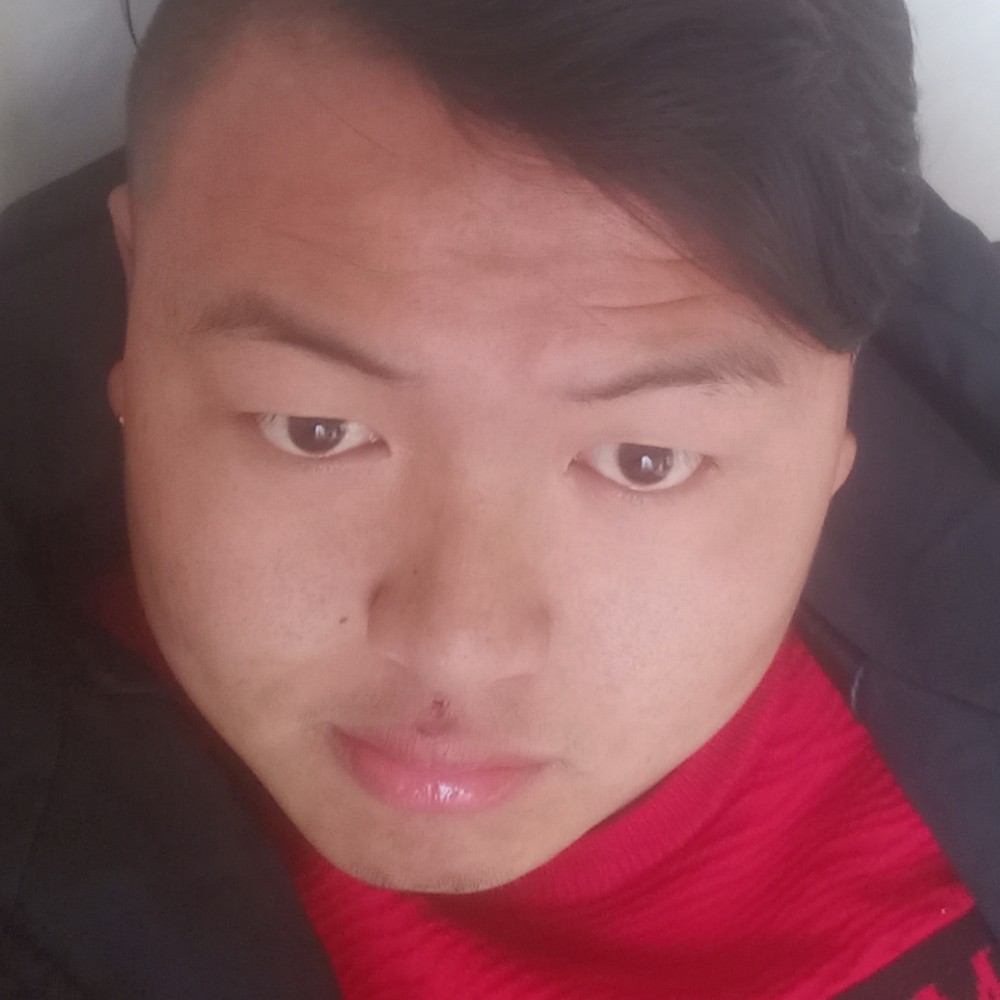 大雁淡然的照片