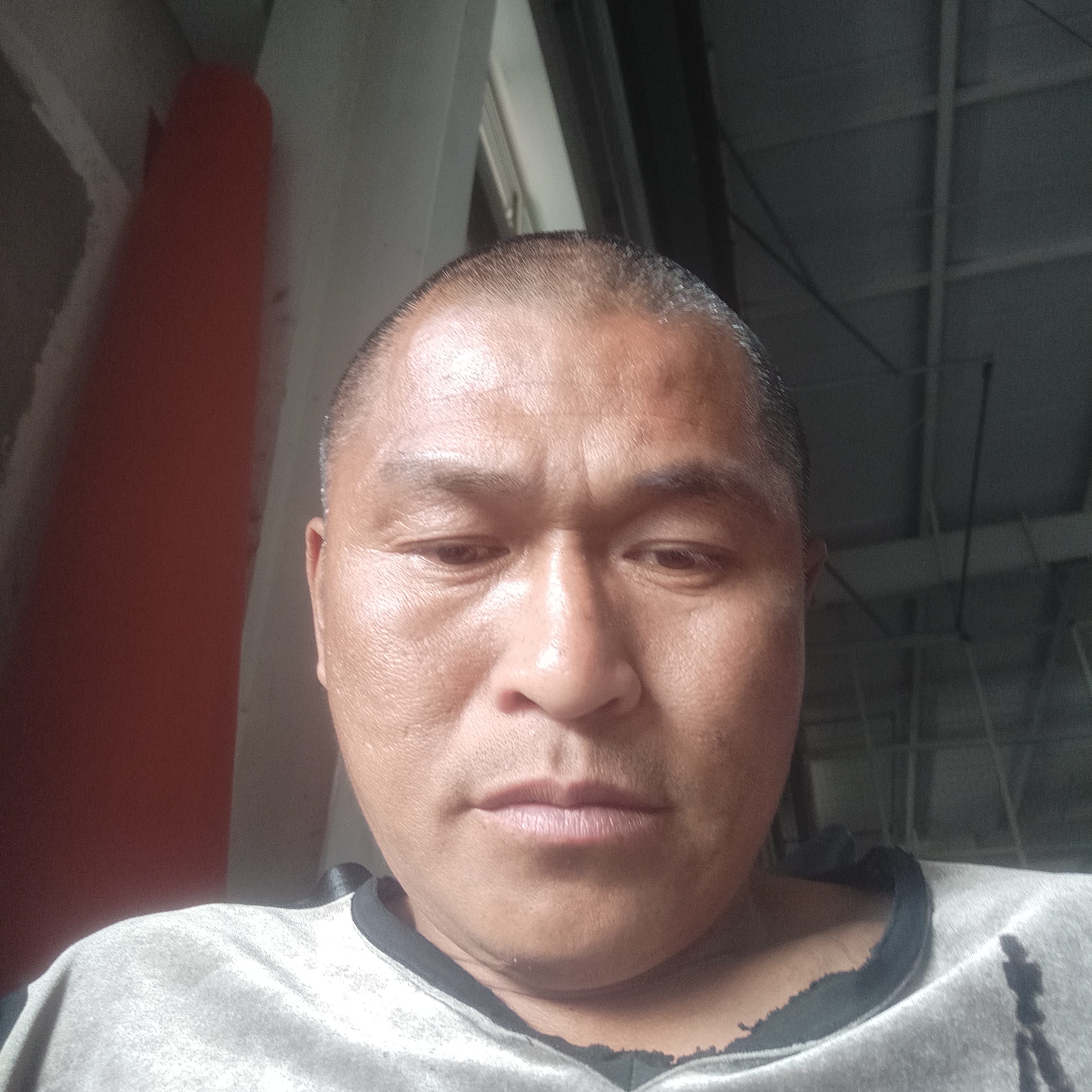 28头狼的照片