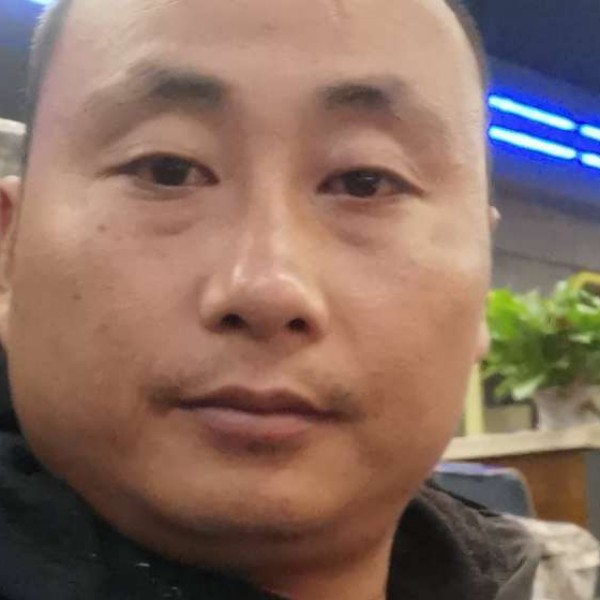 小蜜蜂包容的照片