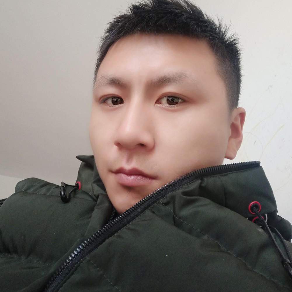 落叶的照片