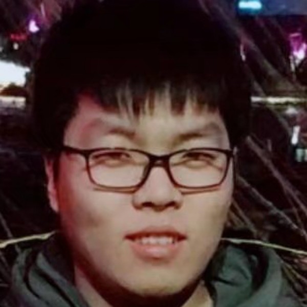 大树蹁跹沉静的照片