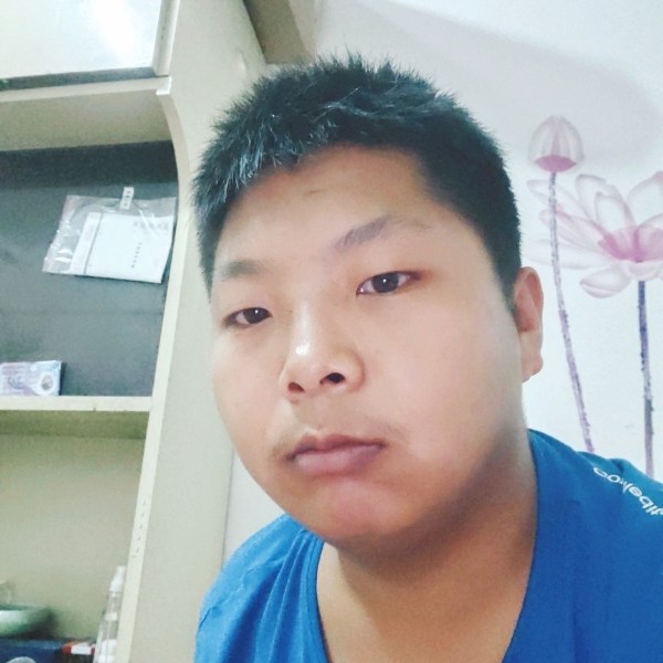 冰枫、的照片