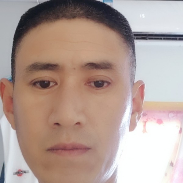 现代拾忆小刺猬的照片