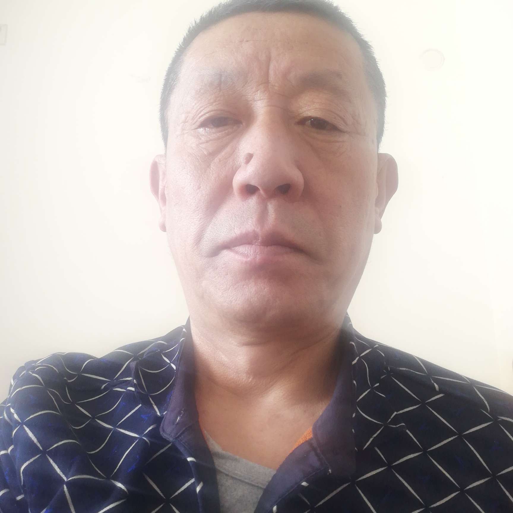 轻松苦恋小刺猬的照片