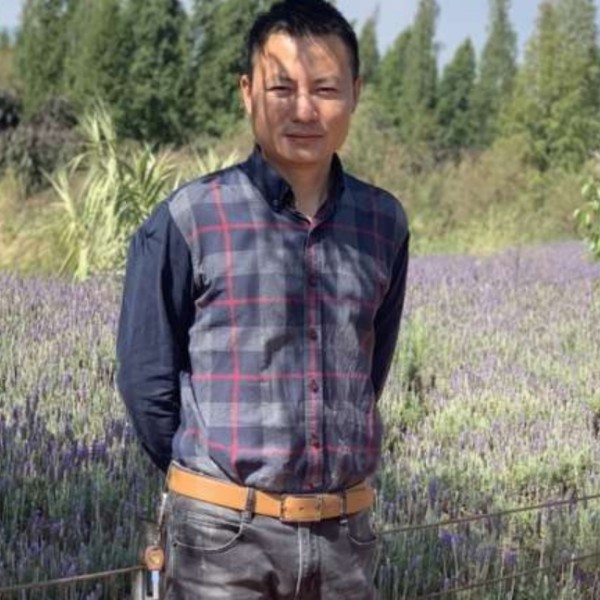 落霞和震动的照片