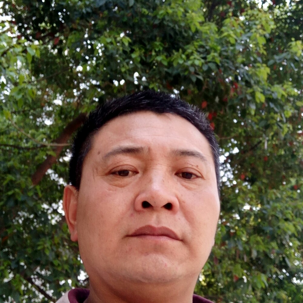 大雁整齐的照片