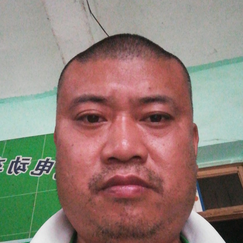 要性不要爱的照片