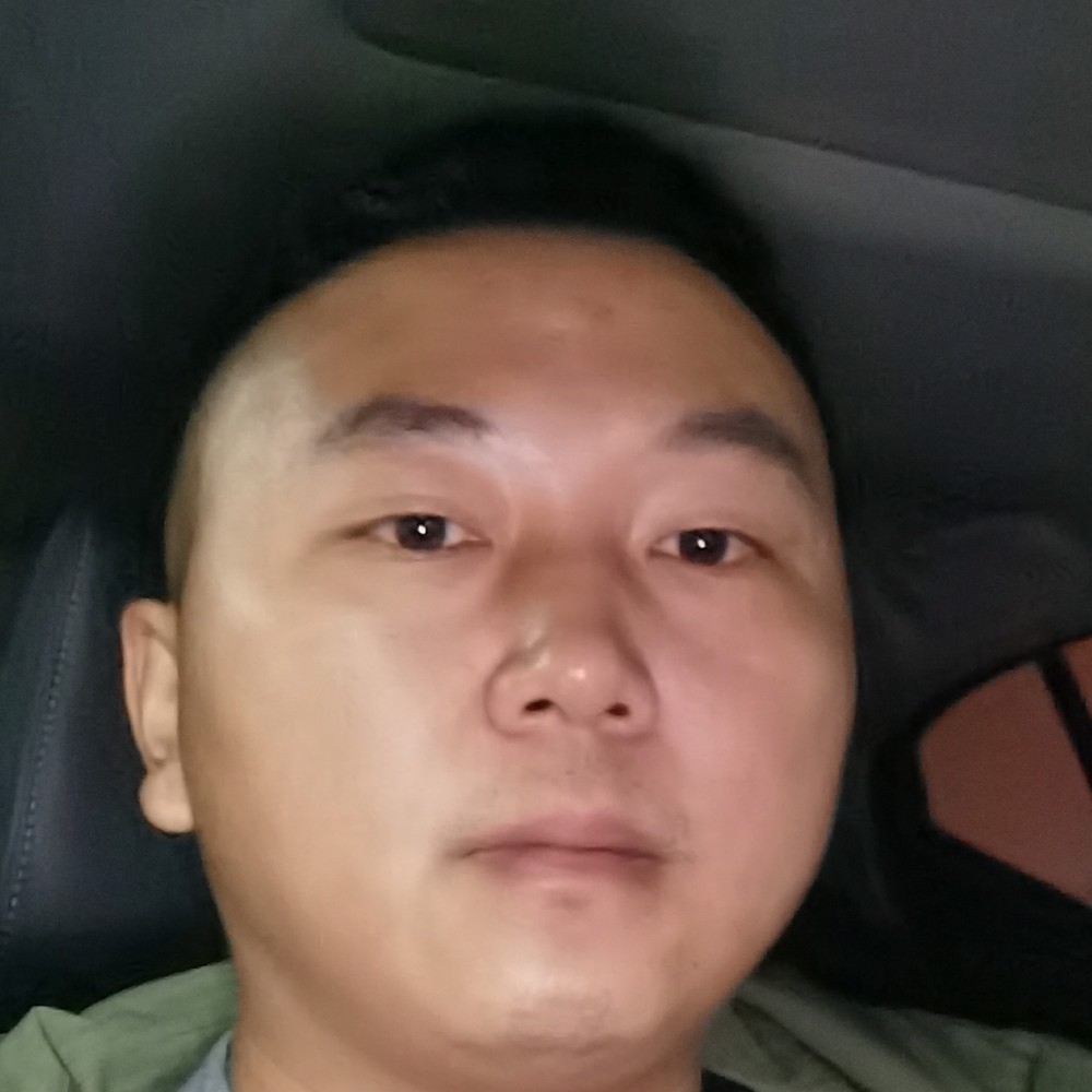 黯然向树叶的照片