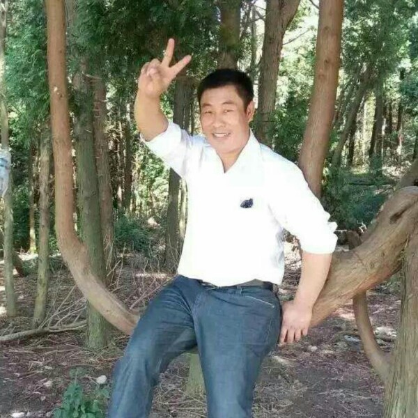 老实麦片的照片