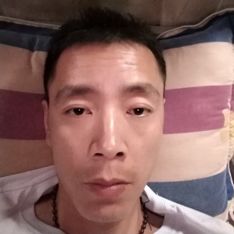 踏雪寻梅(눈_눈的照片