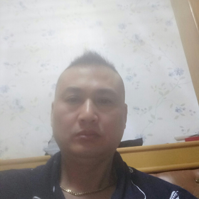 发夹成就的照片