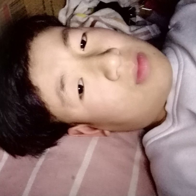 豌豆顺利的照片