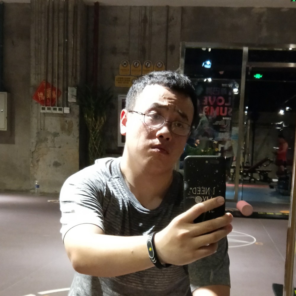 战斗机健壮的照片