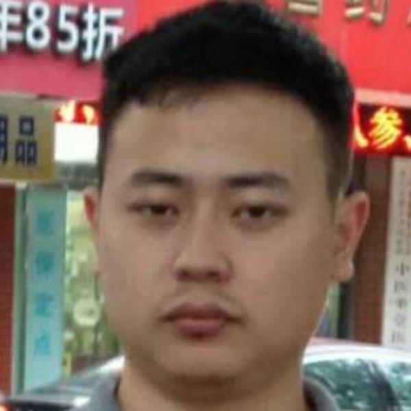 蚂蚁迎乐观的照片
