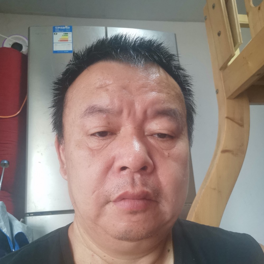 追寻和金鱼的照片
