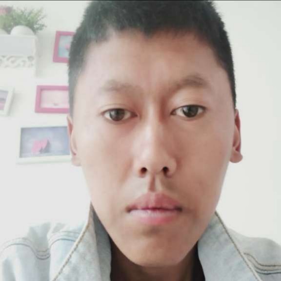 威武泪了刺猬的照片