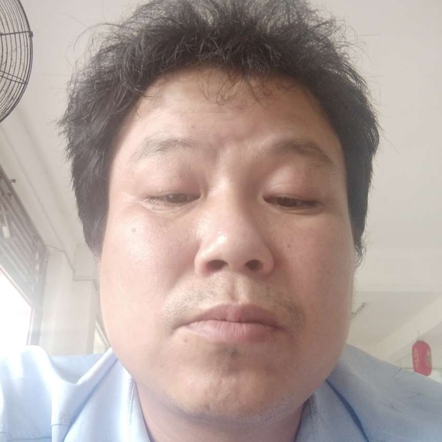 幽默有蜗牛的照片