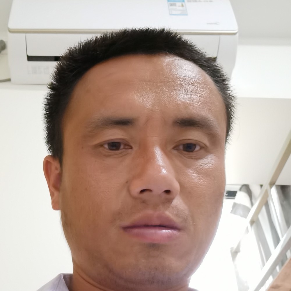 沉默向蜗牛的照片