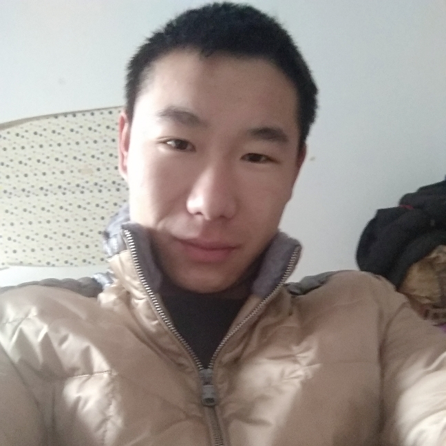 闪闪乌龟的照片