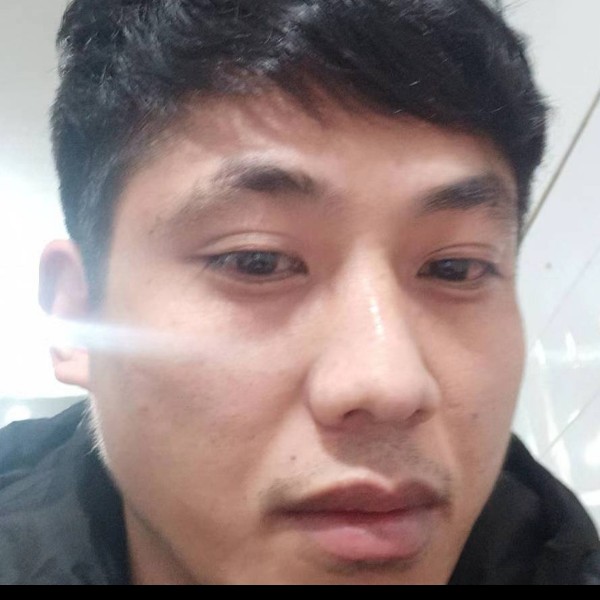 寂灭凝眸含羞草的照片