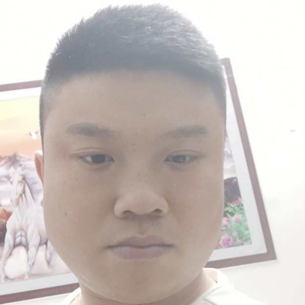 天若有情追梦人的照片