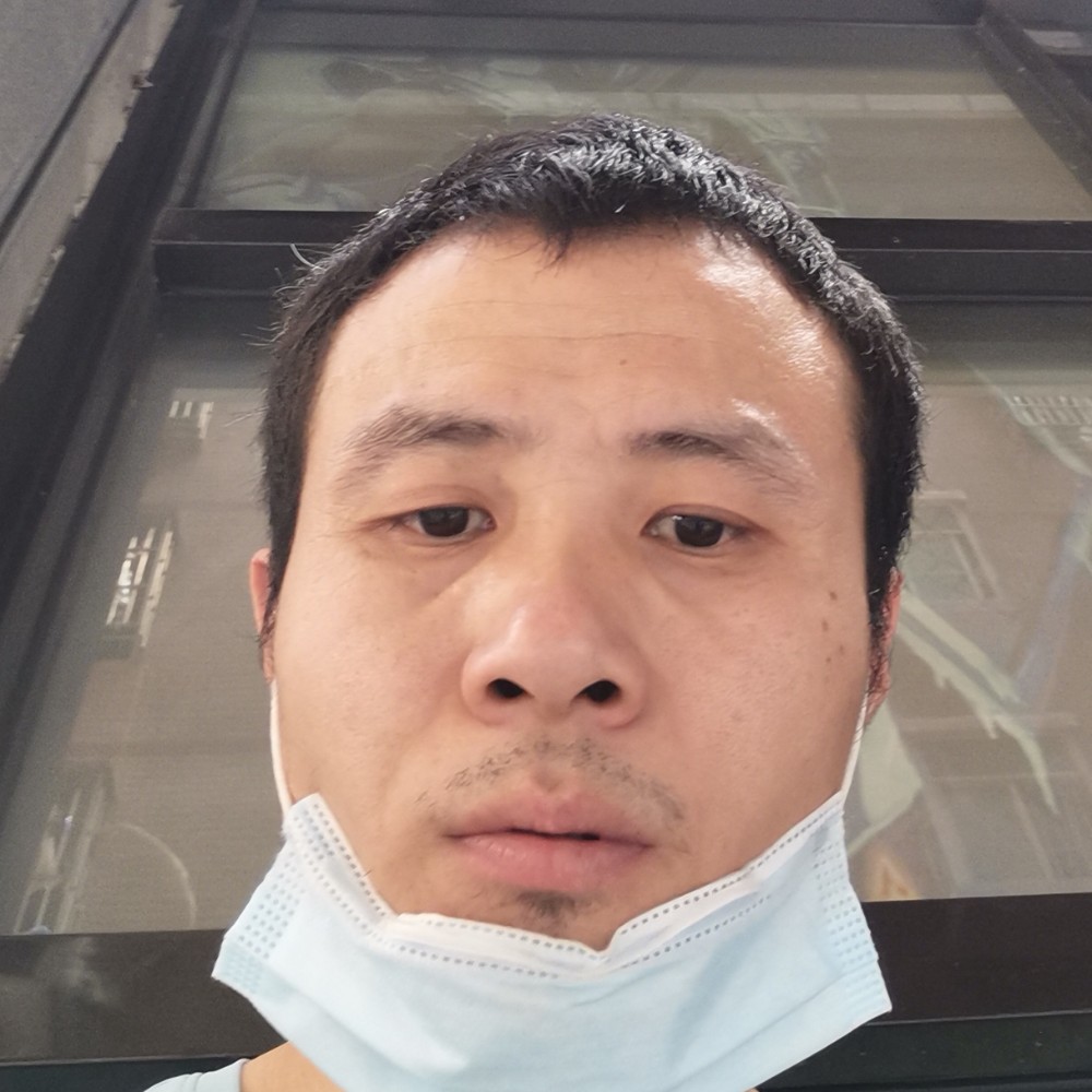 大雁的野性的照片