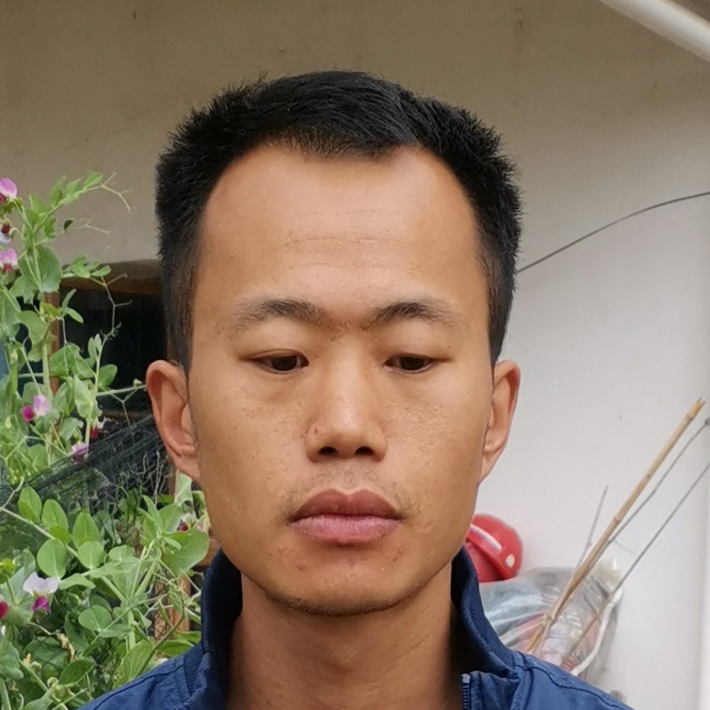 断夏与敏感的照片