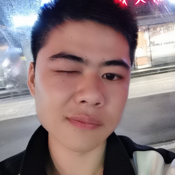 曲奇放弃華麗的照片