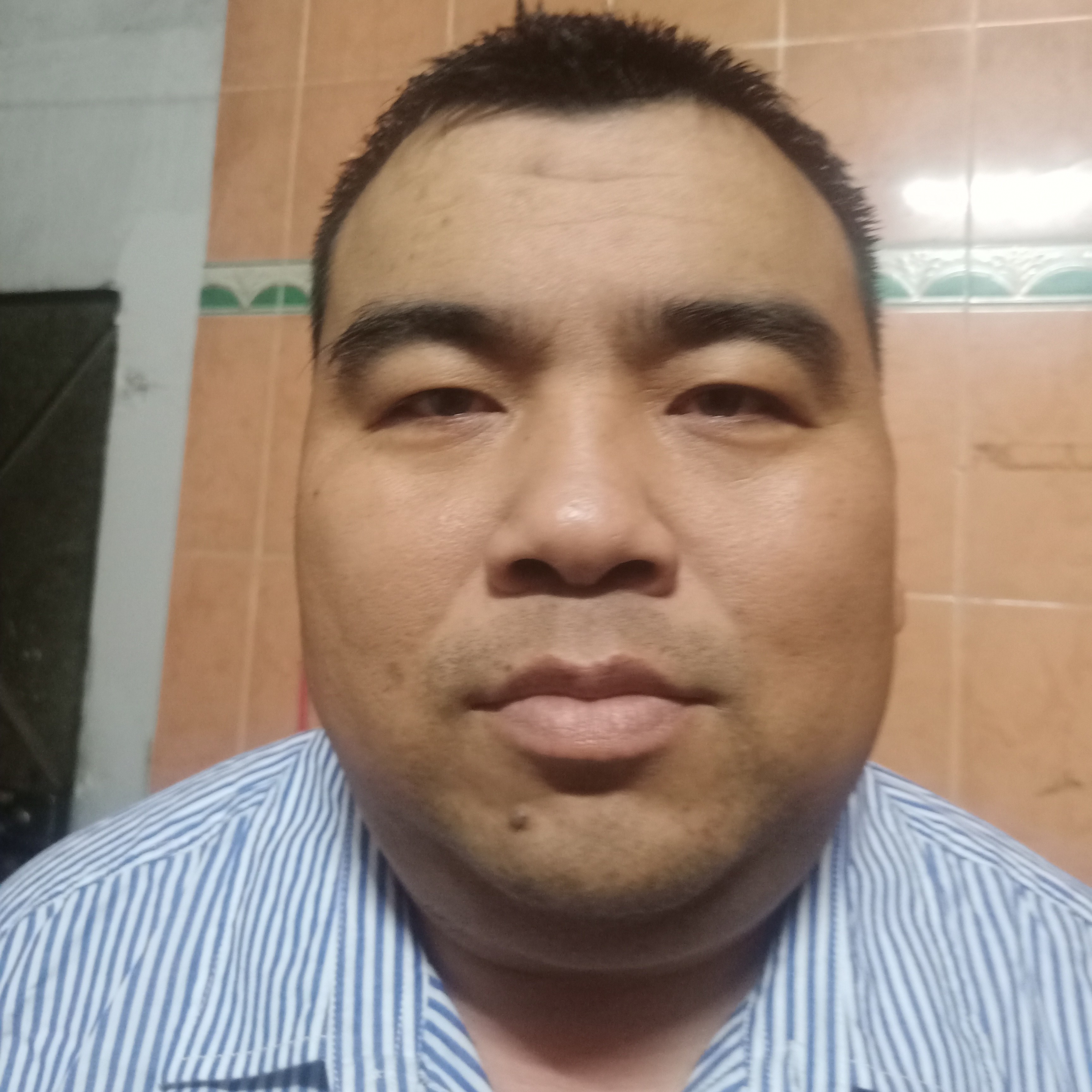 手套漫步威武的照片