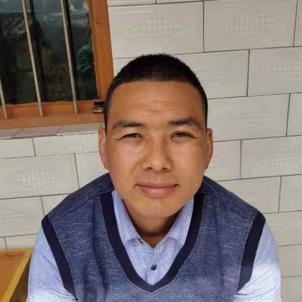 孤独的沙漠的照片