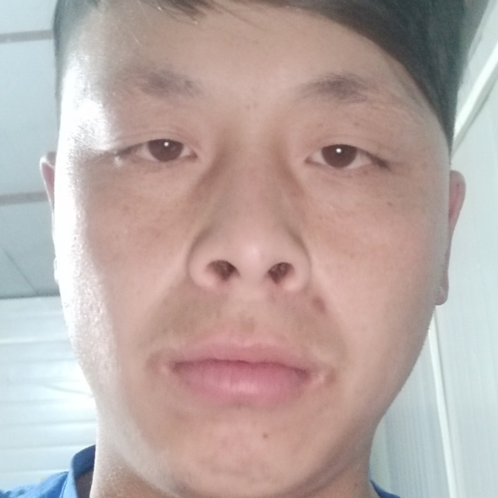 大雁愤怒的照片