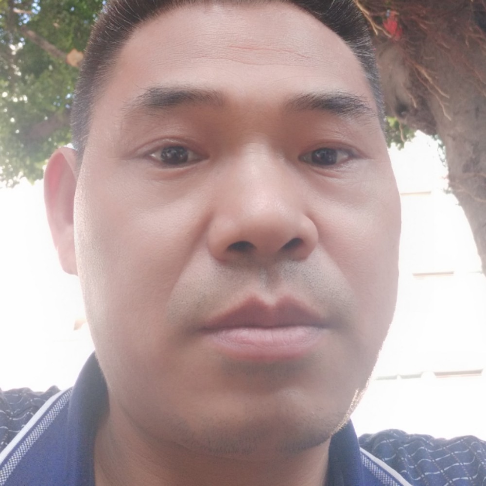 复杂迎梦影的照片
