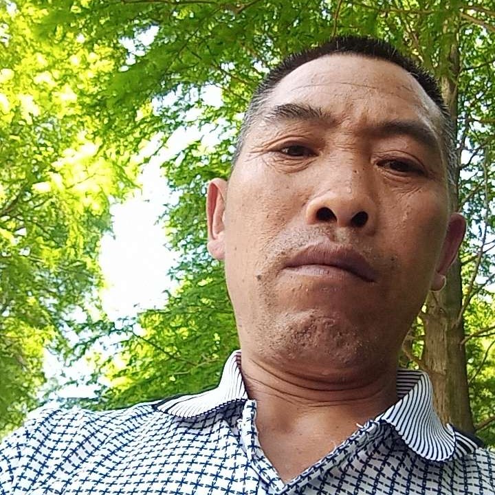 线一生苦命的照片