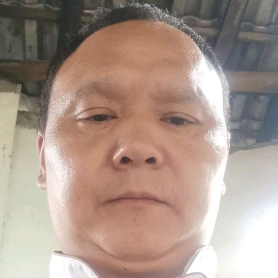 玉米的稳重的照片
