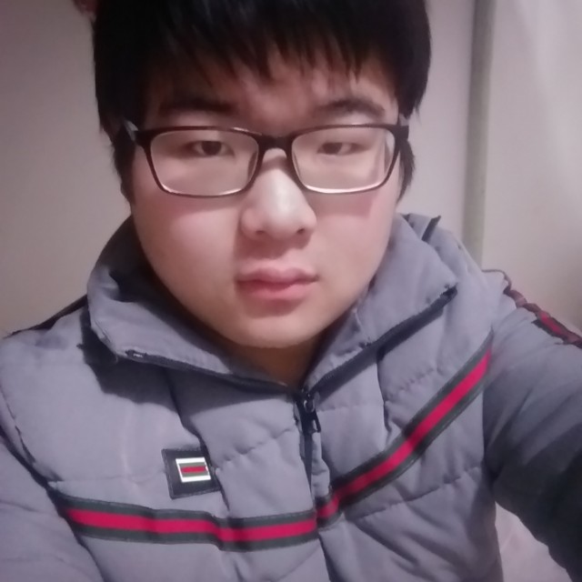萤火虫的夜晚的照片