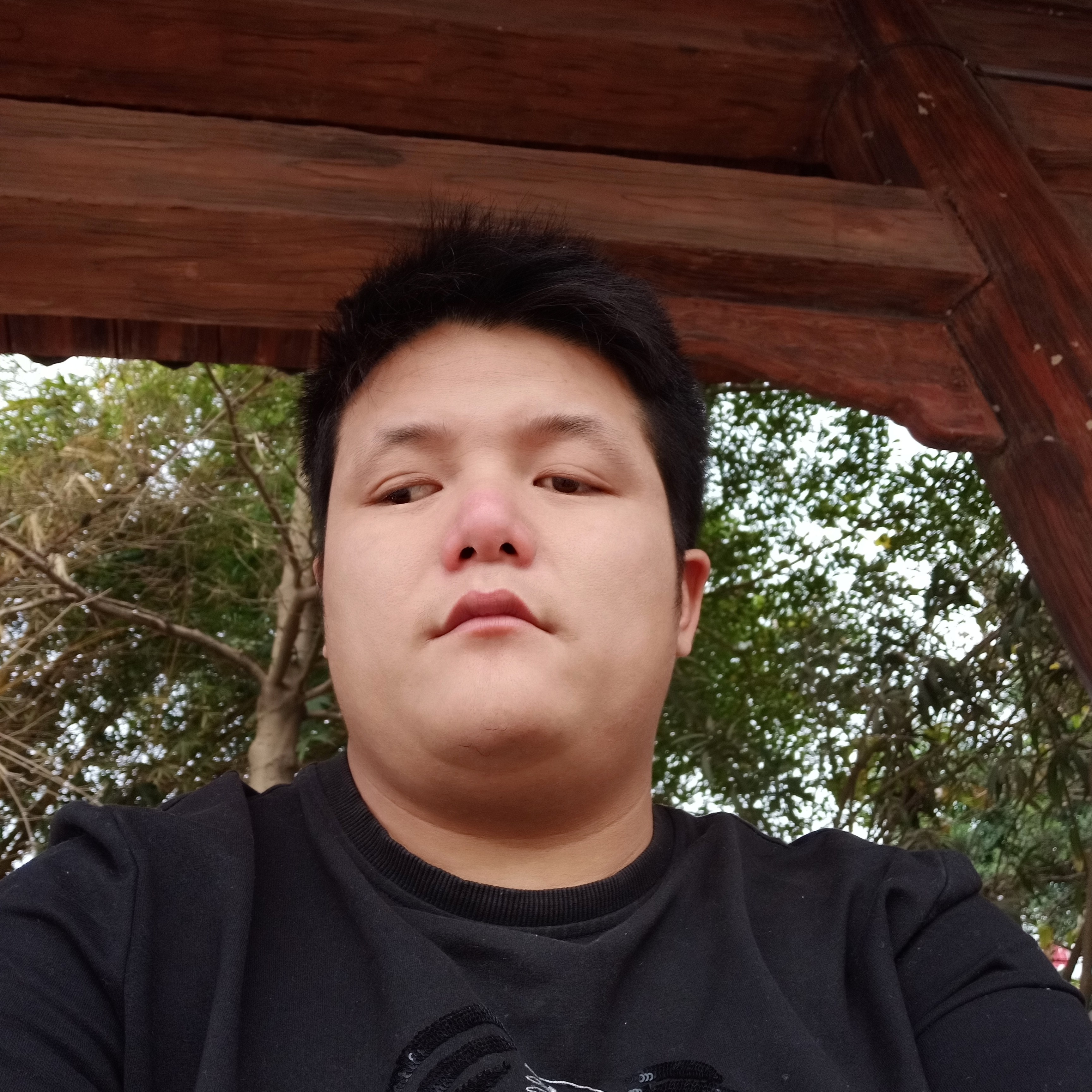 绿草放弃安详的照片