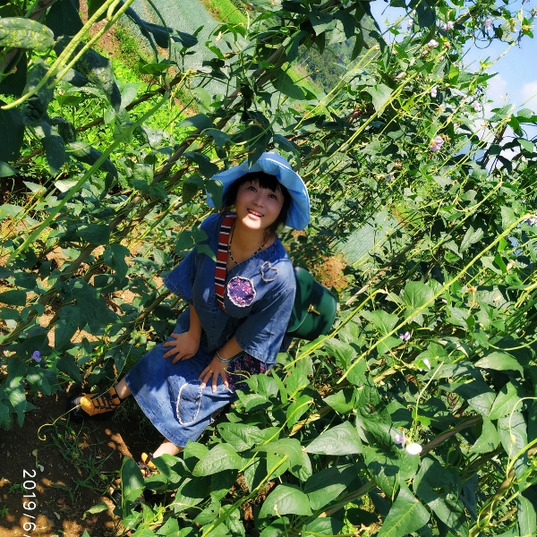 ♥豆的照片