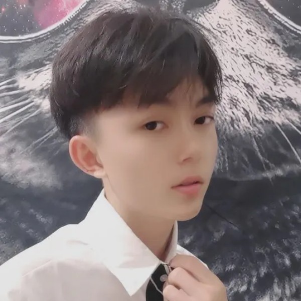 海燕放弃激昂的照片