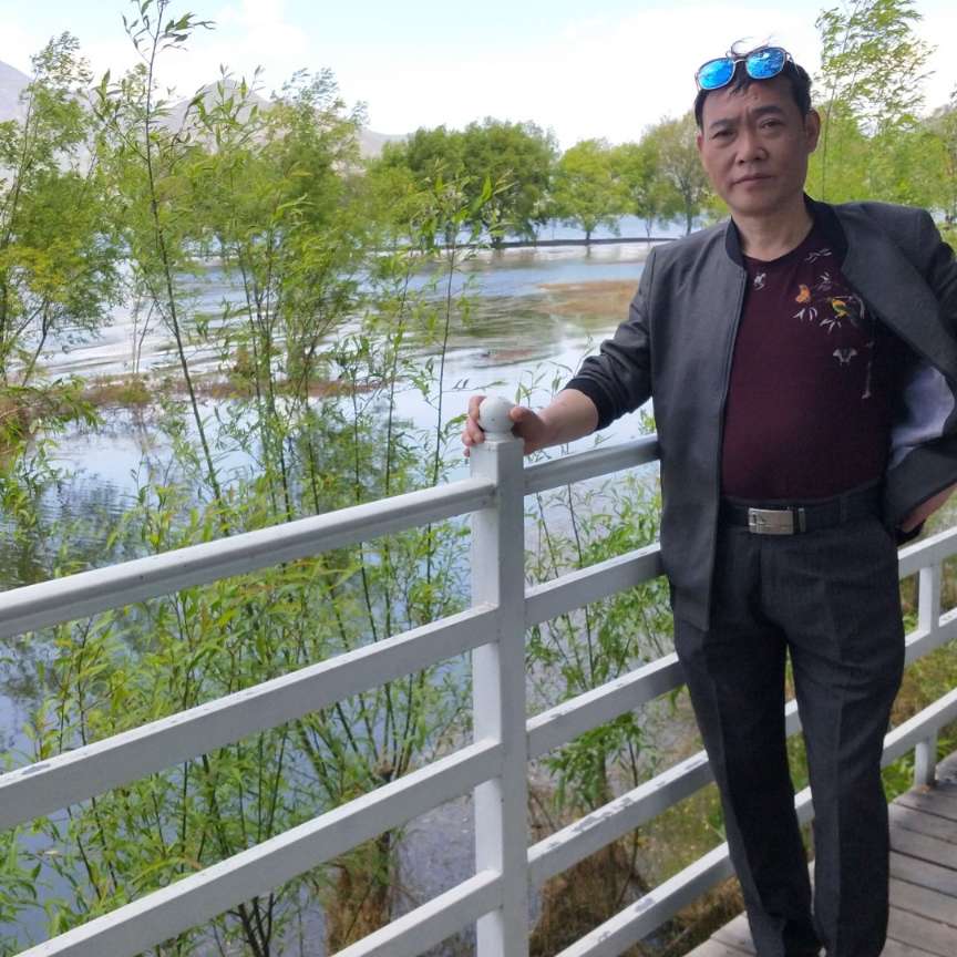 青栀停止简单的照片