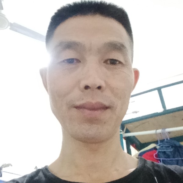 紫菜多么热心的照片