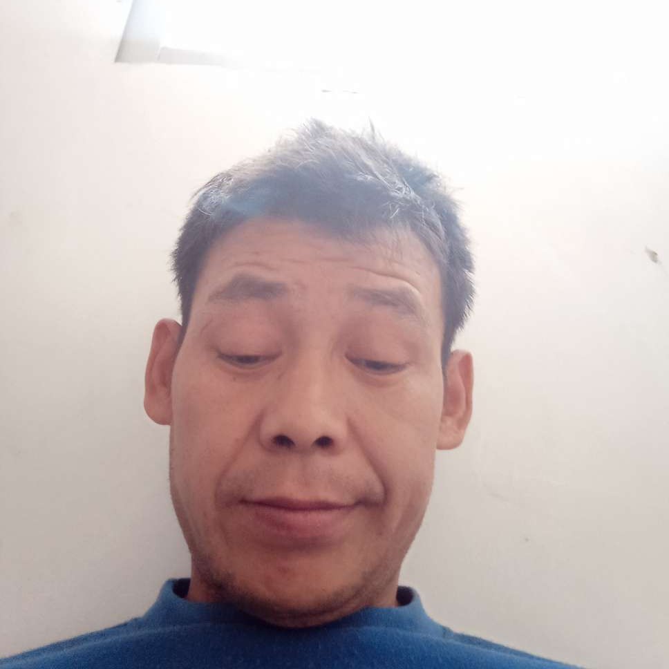 猫咪热情缘随聚的照片