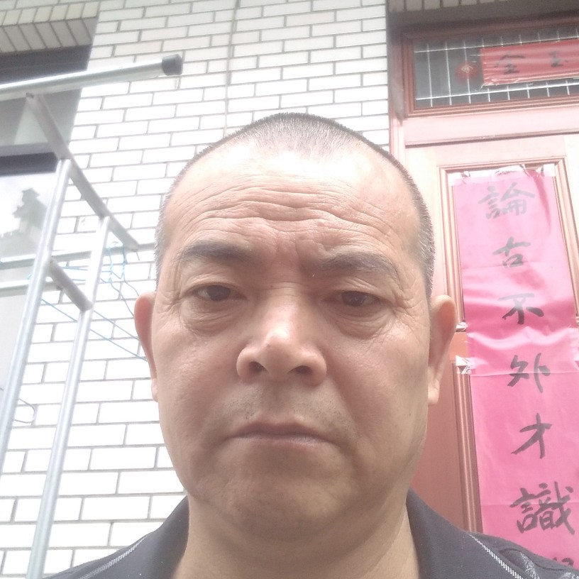 没有方向的狼的照片