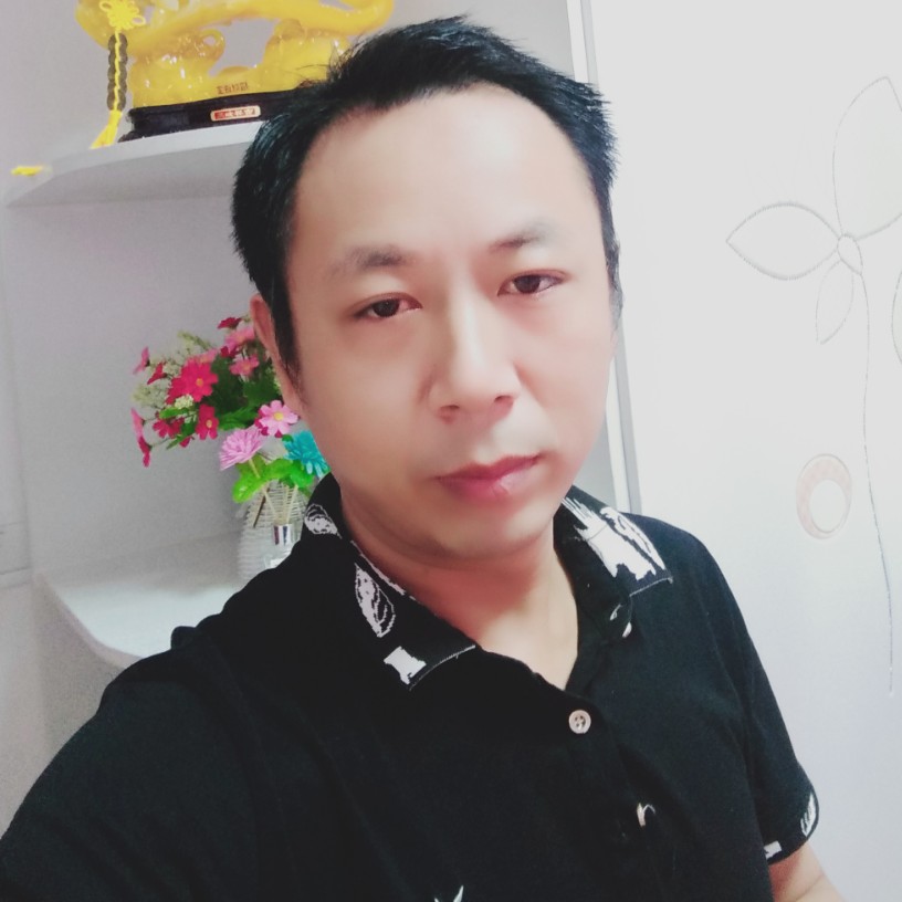 刺猬激情的照片