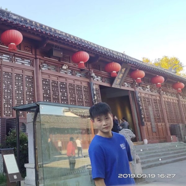 旅途中的野马的照片