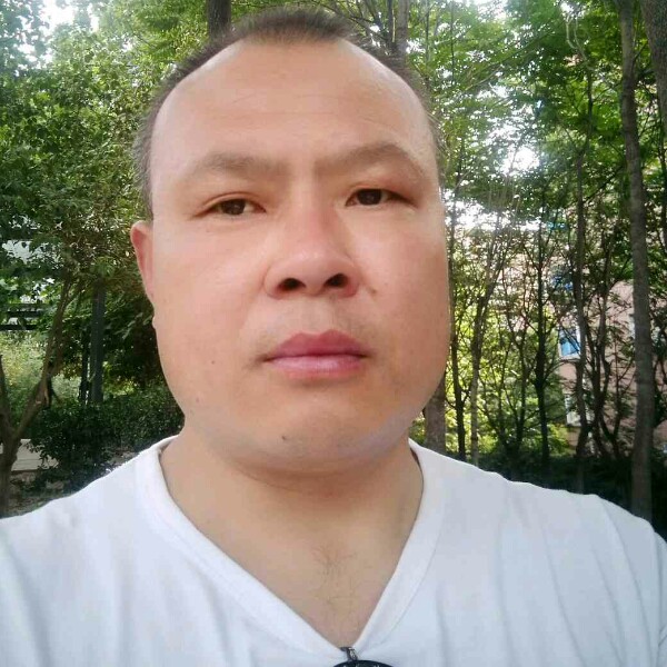 只有歌声的夜晚的照片
