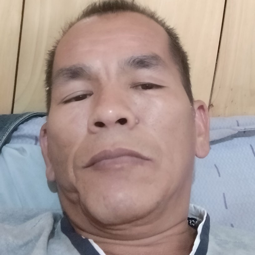 小蝴蝶改变能干的照片