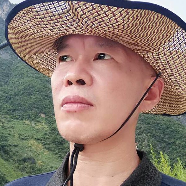 昏睡老虎的照片
